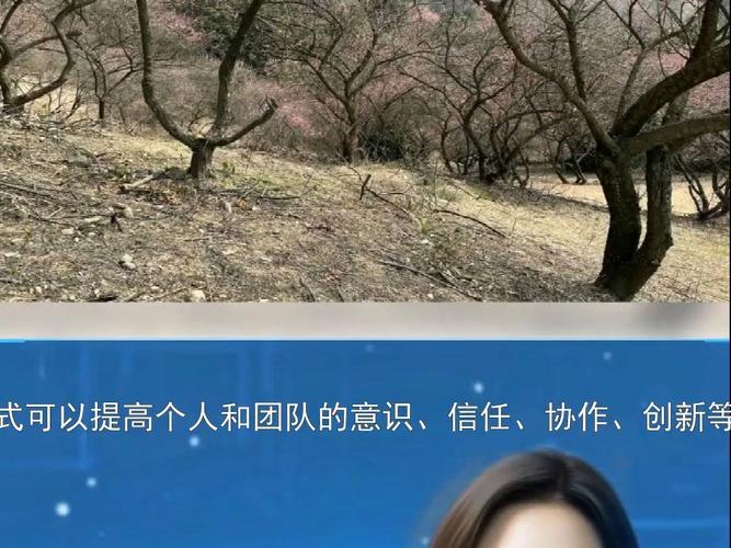 户外拓展体验式培训策划