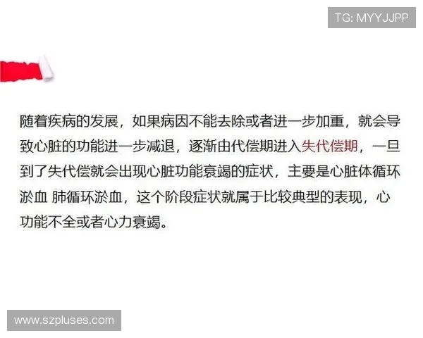 胡荷韬谈伤病恢复过程身体代偿反应尚在治疗阶段但不影响表现 胡荷韬谈伤病恢复过程身体代偿反应尚在治疗阶段但不影响表现